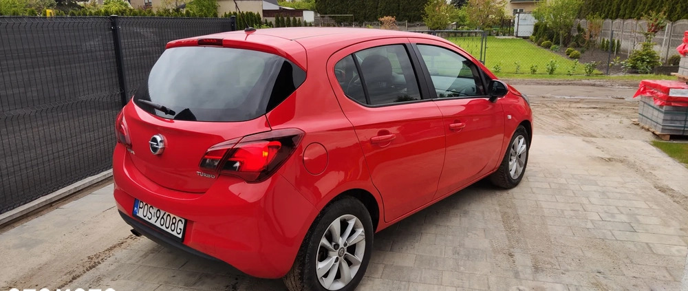 Opel Corsa cena 33900 przebieg: 64100, rok produkcji 2016 z Rajgród małe 154
